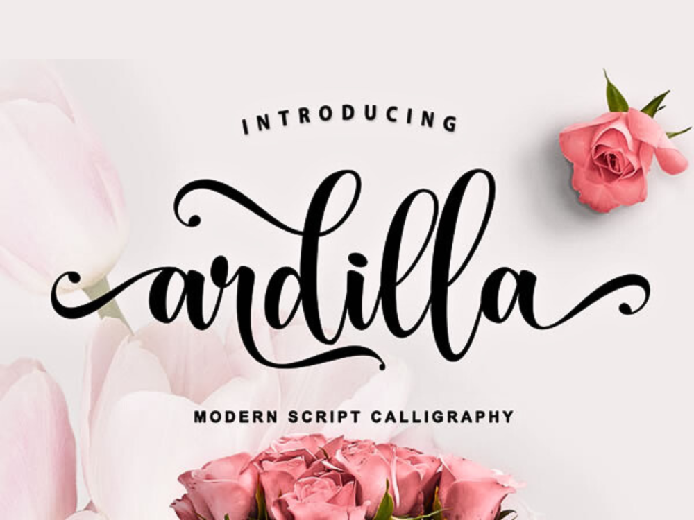 Ardilla Font